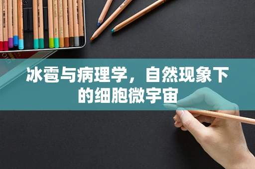 冰雹与病理学，自然现象下的细胞微宇宙