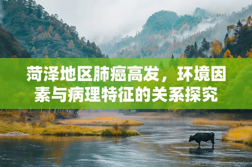 菏泽地区肺癌高发，环境因素与病理特征的关系探究