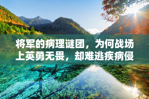 将军的病理谜团，为何战场上英勇无畏，却难逃疾病侵袭？