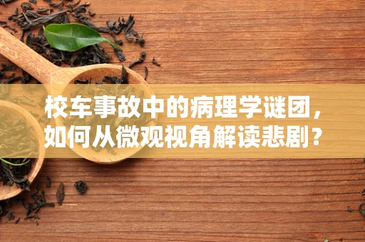校车事故中的病理学谜团，如何从微观视角解读悲剧？