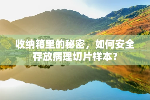 收纳箱里的秘密，如何安全存放病理切片样本？