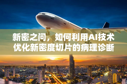 新密之问，如何利用AI技术优化新密度切片的病理诊断？