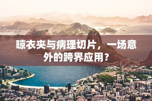 晾衣夹与病理切片，一场意外的跨界应用？