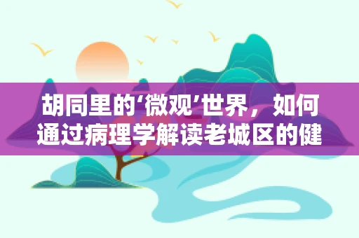胡同里的‘微观’世界，如何通过病理学解读老城区的健康密码？