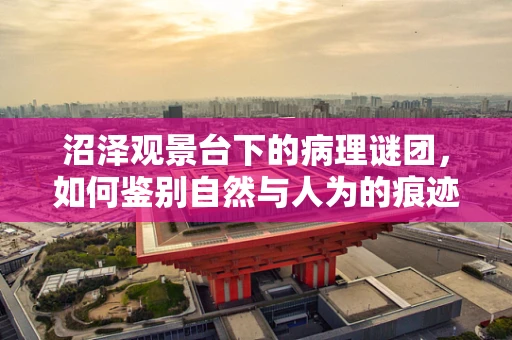 沼泽观景台下的病理谜团，如何鉴别自然与人为的痕迹？