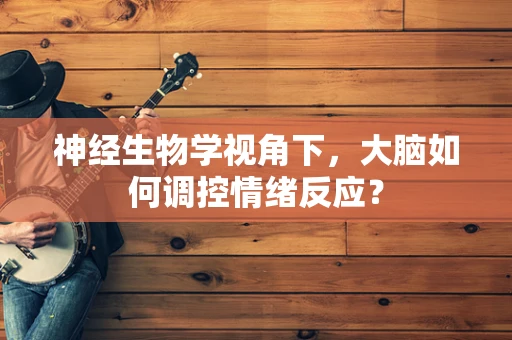 神经生物学视角下，大脑如何调控情绪反应？