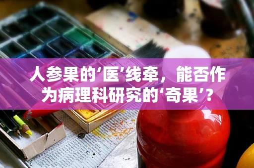 人参果的‘医’线牵，能否作为病理科研究的‘奇果’？