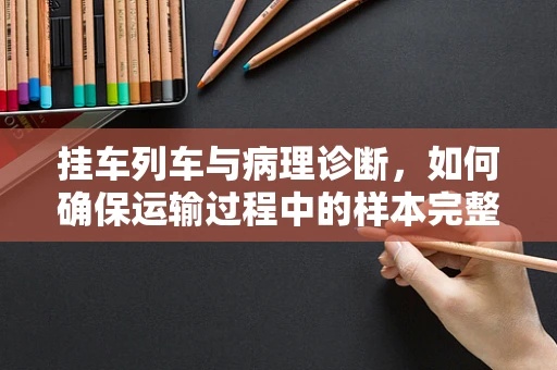 挂车列车与病理诊断，如何确保运输过程中的样本完整性？