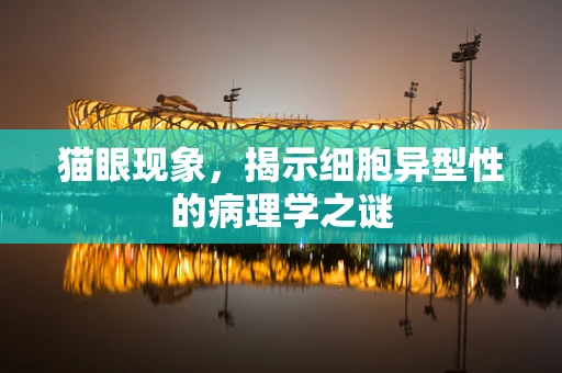 猫眼现象，揭示细胞异型性的病理学之谜