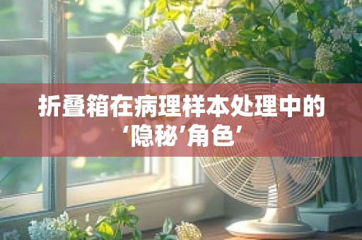 折叠箱在病理样本处理中的‘隐秘’角色’