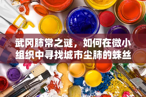 武冈肺常之谜，如何在微小组织中寻找城市尘肺的蛛丝马迹？
