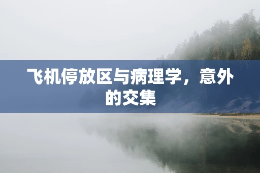 飞机停放区与病理学，意外的交集