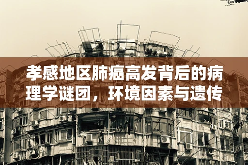 孝感地区肺癌高发背后的病理学谜团，环境因素与遗传易感性的交织