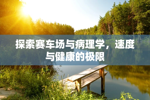 探索赛车场与病理学，速度与健康的极限