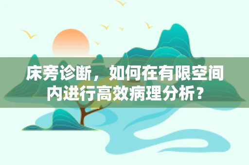 床旁诊断，如何在有限空间内进行高效病理分析？
