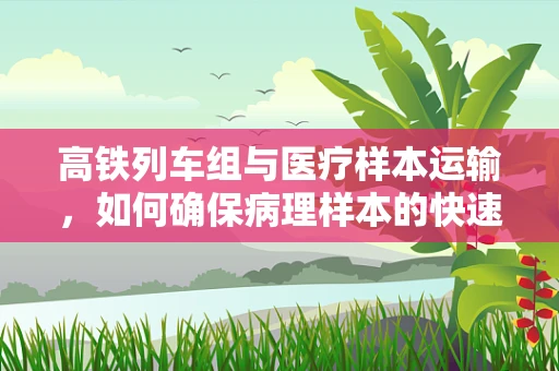 高铁列车组与医疗样本运输，如何确保病理样本的快速而安全？
