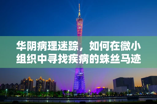 华阴病理迷踪，如何在微小组织中寻找疾病的蛛丝马迹？