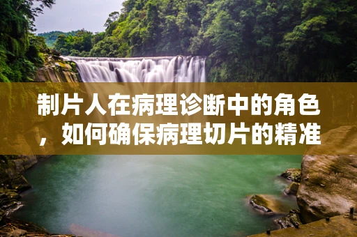 制片人在病理诊断中的角色，如何确保病理切片的精准与高效？