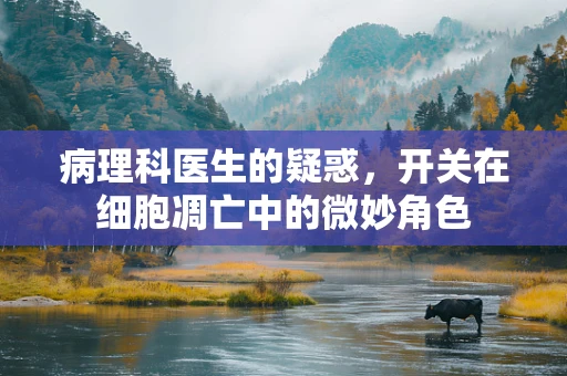 病理科医生的疑惑，开关在细胞凋亡中的微妙角色