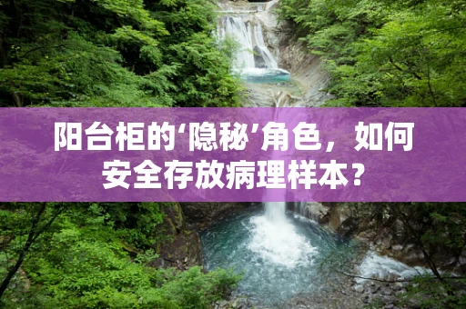 阳台柜的‘隐秘’角色，如何安全存放病理样本？