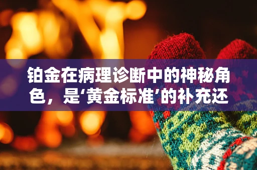 铂金在病理诊断中的神秘角色，是‘黄金标准’的补充还是新星？