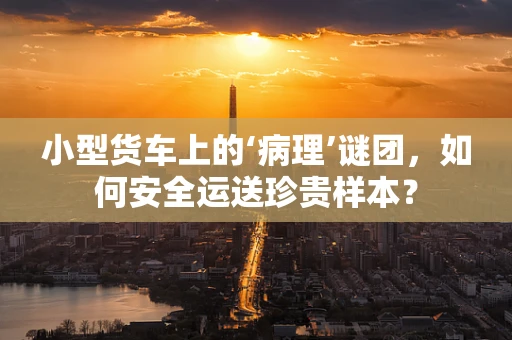 小型货车上的‘病理’谜团，如何安全运送珍贵样本？