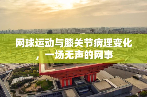 网球运动与膝关节病理变化，一场无声的网事