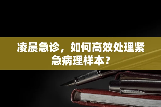 凌晨急诊，如何高效处理紧急病理样本？