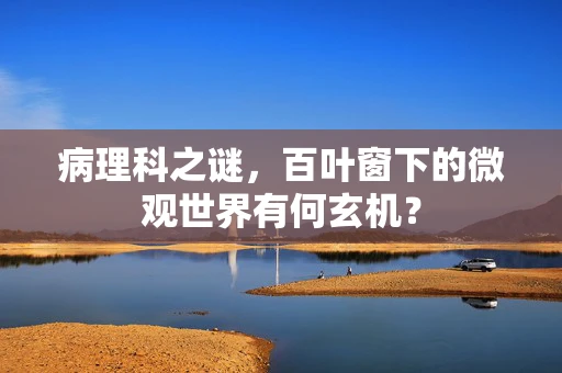 病理科之谜，百叶窗下的微观世界有何玄机？