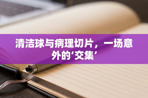 清洁球与病理切片，一场意外的‘交集’