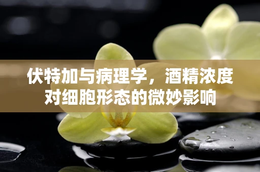 伏特加与病理学，酒精浓度对细胞形态的微妙影响