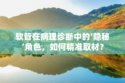 软管在病理诊断中的‘隐秘’角色，如何精准取材？
