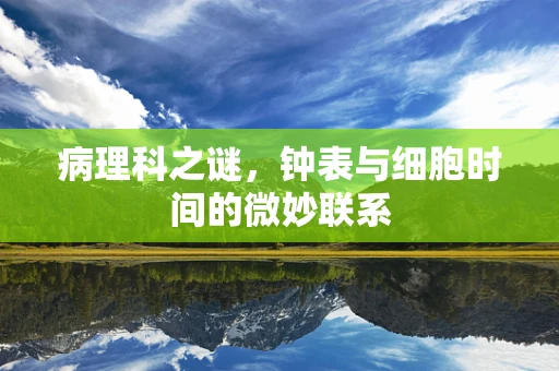 病理科之谜，钟表与细胞时间的微妙联系