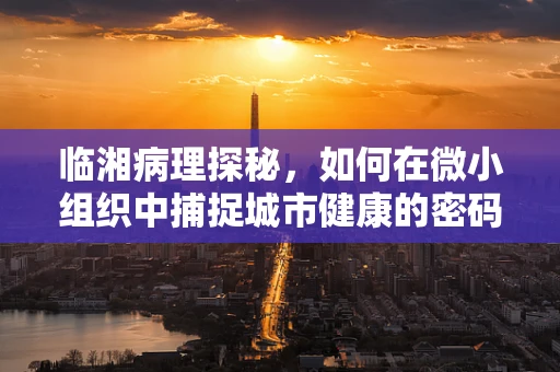 临湘病理探秘，如何在微小组织中捕捉城市健康的密码？