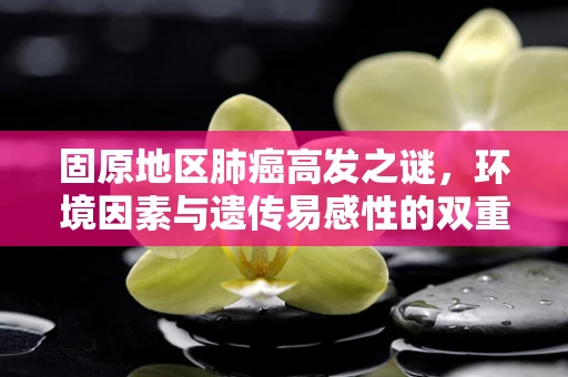 固原地区肺癌高发之谜，环境因素与遗传易感性的双重考量