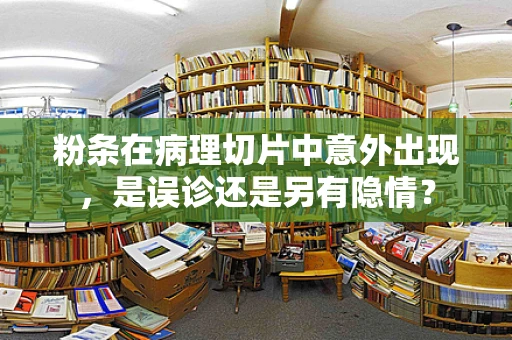粉条在病理切片中意外出现，是误诊还是另有隐情？