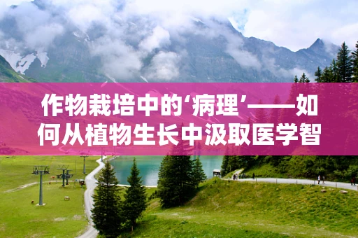 作物栽培中的‘病理’——如何从植物生长中汲取医学智慧？