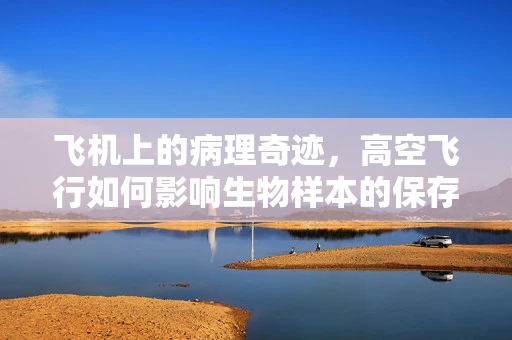 飞机上的病理奇迹，高空飞行如何影响生物样本的保存？