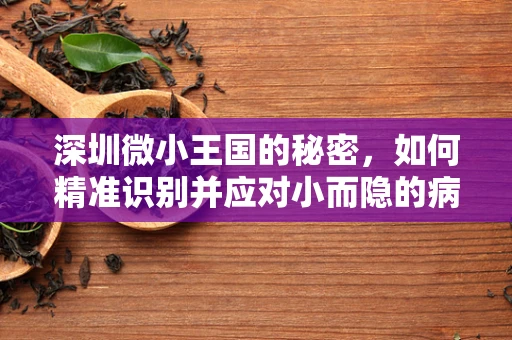 深圳微小王国的秘密，如何精准识别并应对小而隐的病理挑战？