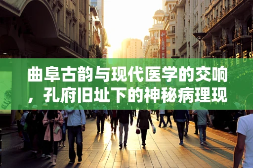 曲阜古韵与现代医学的交响，孔府旧址下的神秘病理现象探析