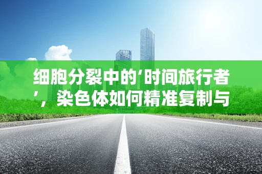 细胞分裂中的‘时间旅行者’，染色体如何精准复制与分离？
