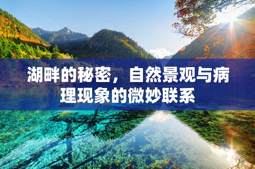 湖畔的秘密，自然景观与病理现象的微妙联系
