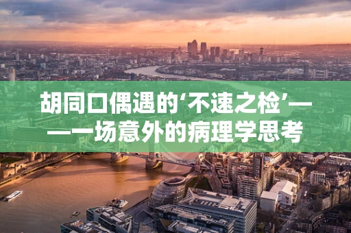 胡同口偶遇的‘不速之检’——一场意外的病理学思考