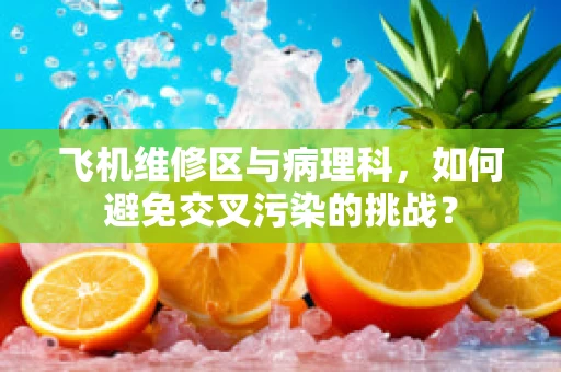 飞机维修区与病理科，如何避免交叉污染的挑战？