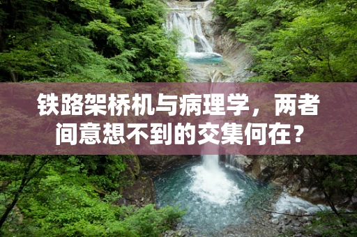 铁路架桥机与病理学，两者间意想不到的交集何在？