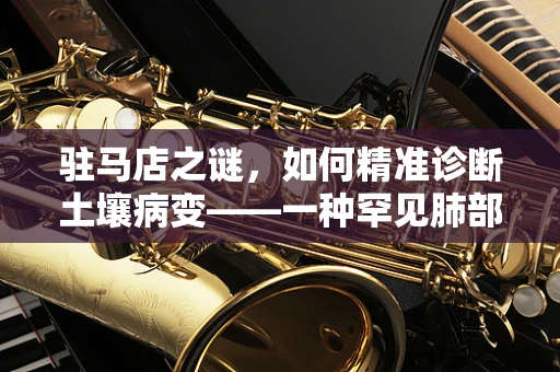驻马店之谜，如何精准诊断土壤病变——一种罕见肺部疾病的区域性特征
