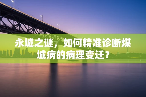 永城之谜，如何精准诊断煤城病的病理变迁？