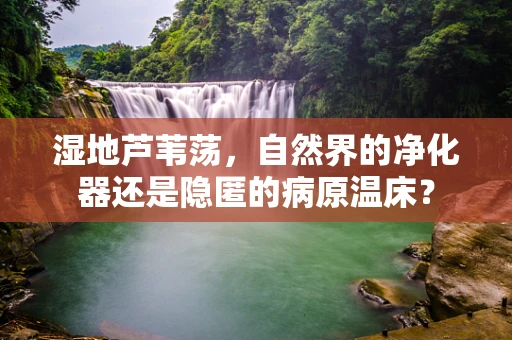 湿地芦苇荡，自然界的净化器还是隐匿的病原温床？