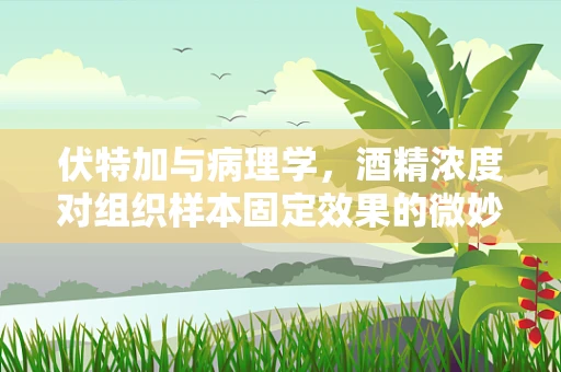 伏特加与病理学，酒精浓度对组织样本固定效果的微妙影响