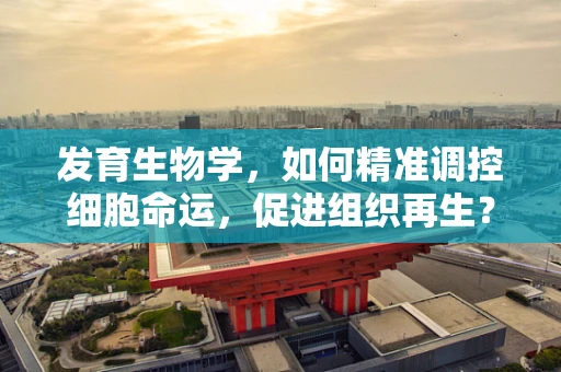 发育生物学，如何精准调控细胞命运，促进组织再生？